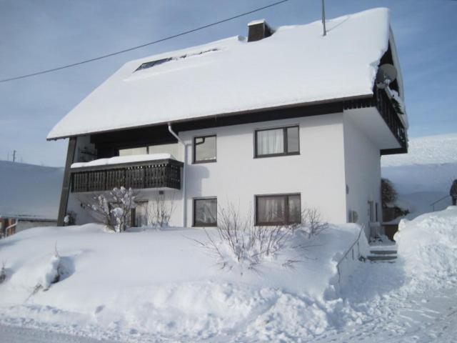 Haus Janssen-Wehrle Apartment Titisee-Neustadt Exterior photo